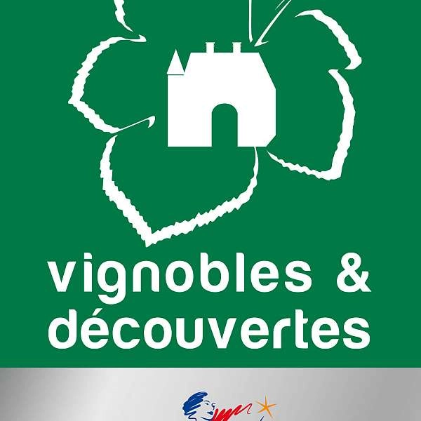 Destination Vignoble - ES